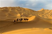 新疆之旅，愛上著遼闊無際大沙漠